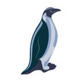 Vector illustration of penguin. Isolated on white background Royalty Free Stock Photo