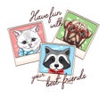 Vector illustration with photos of cartoon animals. Cat, pug dog and raccoon. Have fun with your friends colorful pictures Royalty Free Stock Photo
