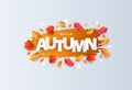 Hello Autumn Vector illustration with phrase in paper cut style decorated with beautiful bright leaves on light background Royalty Free Stock Photo