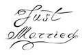 Vector illustration, phrase, lettering. Newlyweds, wedding phrase. Hand-drawn.