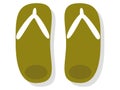 Picture of a pair of flip flops