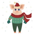 Vector illustration of a pig boy in winter clothes, sweater, scarf, hat, mittens, trousers. Symbol of 2019. Smiles, looks, good mo