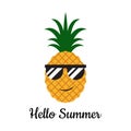 Pineapple with glasses - Hello summer concept