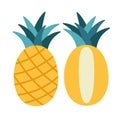 Vector illustration of pineapple and half of pineapple isolated on a white background. Royalty Free Stock Photo