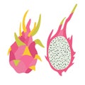 Vector illustration of pink dragon fruit and half of dragon fruit isolated on a white background. Royalty Free Stock Photo