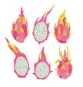 Vector illustration of pink dragon fruits and half of dragon fruits isolated on a white background. Royalty Free Stock Photo