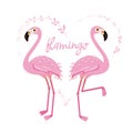 Vector illustration pink flamingo couple. Cool flamingo decorative flat design element. Royalty Free Stock Photo