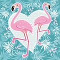 Vector illustration pink flamingo couple. Cool flamingo decorative flat design element.