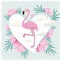 Vector illustration pink flamingo couple. Cool flamingo decorative flat design element.