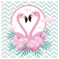 Vector illustration pink flamingo couple. Cool flamingo