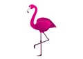 Vector illustration pink flamingo. Exotic bird. Cool flamingo decorative flat design element. Lovely flamingo Royalty Free Stock Photo