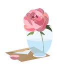 Vector illustration of pink peony put in glass standing on letter envelope. Isolated in white background Royalty Free Stock Photo