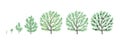 Olive tree growth stages. Vector illustration. Ripening period progression. Life cycle animation plant seedling.