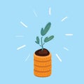 Vector illustration of Plant on stack of coins on blue backround. Royalty Free Stock Photo