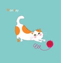 Playful kitty days Royalty Free Stock Photo