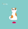 Playful kitty days Royalty Free Stock Photo