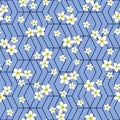 plumeria flowers on hexagonal grid with cornflower blue color background seamless repeat pattern. Royalty Free Stock Photo