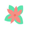 Vector Illustration of Poinsettia Flower for Christmas Decoration, doodle Royalty Free Stock Photo