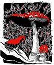 Vector illustration of poisonous frog and fly agaric mushrooms