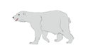 Vector illustration of a polar bear, which stands, drawing, vector Royalty Free Stock Photo