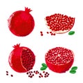 Vector illustration of pomegranate fruits Royalty Free Stock Photo