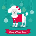 Vector illustration. Poodle in a coat against the background of Christmas balls. Christmas picture for decoration. Year