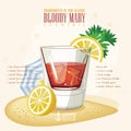 Vector illustration of popular alcoholic cocktail. Bloody Mary club alcohol shot.
