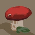 Vector illustration of a porcini mushroom.