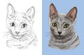 Vector illustration portrait of cute Russian blue cat