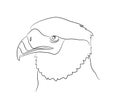 Vector illustration of portrait of eagle, drawing by lines Royalty Free Stock Photo