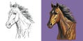 Vector illustration portrait of horse with a flowing mane Royalty Free Stock Photo