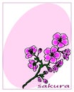 Vector illustration, postcard, wedding invitation, birthday greetings, tender lilac sakura twig in an oval