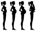 Vector illustration of pregnant female silhouettes and baby. Woman body and its changes during pregnancy