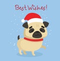 Vector illustration of pugs and Christmas greetings.