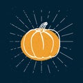 Vector illustration of pumpkin. Happy Halloween concept. Vintage rays