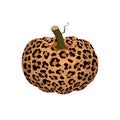 Vector illustration of pumpkin with leopard print isolated on white