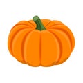 Vector illustration of pumpkin