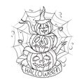 Vector illustration with pumpkins . For Halloween decorations.