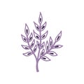 Vector illustration with purple abstract twigs of leaves in a flat handmade style