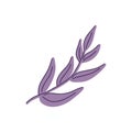 Vector illustration with purple abstract twigs of leaves in a flat handmade style