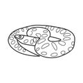 Vector illustration of python and reptile logo. Web element of python and long vector icon for stock.