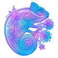 Vector illustration of rainbow chameleon and decorative patterns