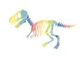 Vector illustration with rainbow dinosaur skeleton isolated on a white background.
