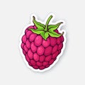 Vector illustration. Raspberry fruit with stem. Healthy diet and vegetarian food. Sticker with contour
