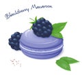 Vector illustration of realistic isolated blackberry macaroon with fresh ripe blackberry berries and leaves