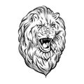 Vector illustration of realistic lion