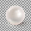 Vector illustration of realistic pearl isolated on transparen ba Royalty Free Stock Photo