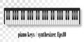 Vector illustration of realistic piano keys.Top view of realistic shaded monochrome piano keyboard.Eps10 Vector Royalty Free Stock Photo