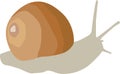 Vector illustration of a realistic snail. Isolated on a white background. The round shell is crawling. Royalty Free Stock Photo