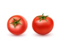 Vector illustration of a realistic style set of red fresh tomatoes with green stems Royalty Free Stock Photo